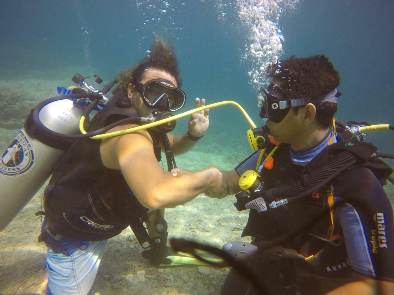 Blue Shark Divers 부나켄 외부 사진