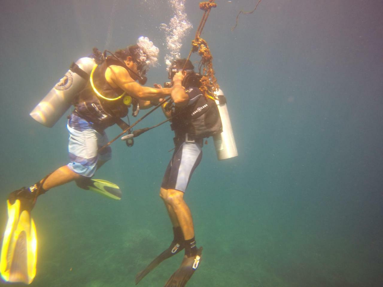 Blue Shark Divers 부나켄 외부 사진